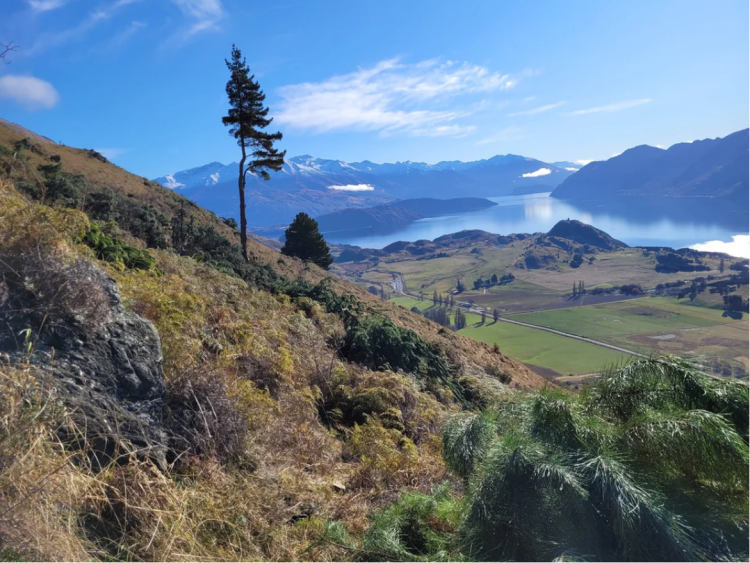 Screenshot 2025-04-24 at 3.48.42 PM